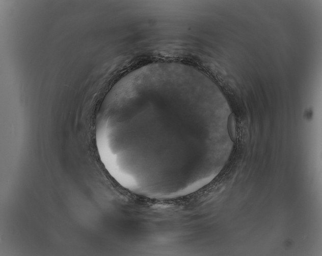 X0000091061009200708201340