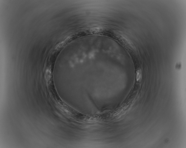 X0000091061011200708201340