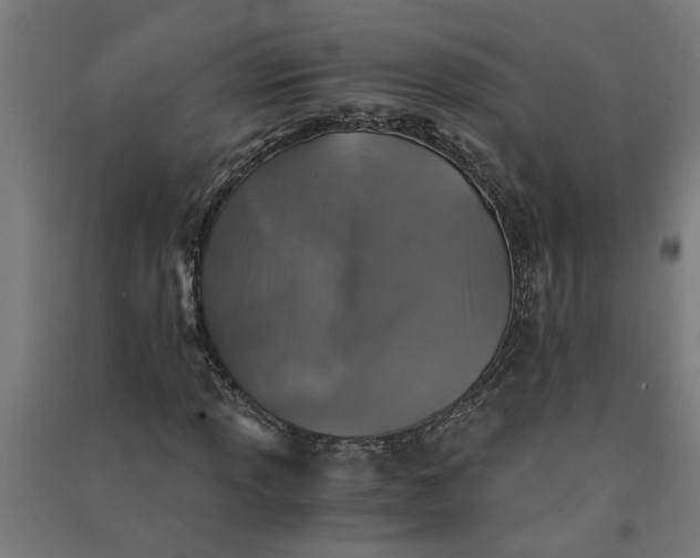 X0000091061013200708201340