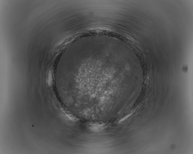 X0000091061014200708201340