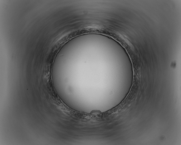 X0000091061015200708201340