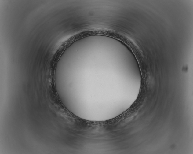 X0000091061016200708201340