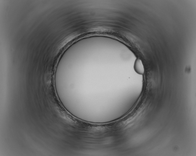 X0000091061017200708201340