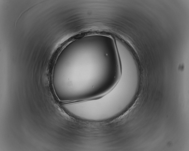 X0000091061018200708201340