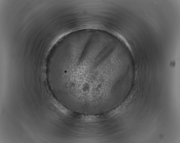 X0000091061019200708201340
