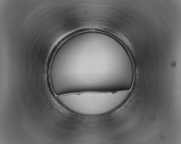 X0000091061020200708201340