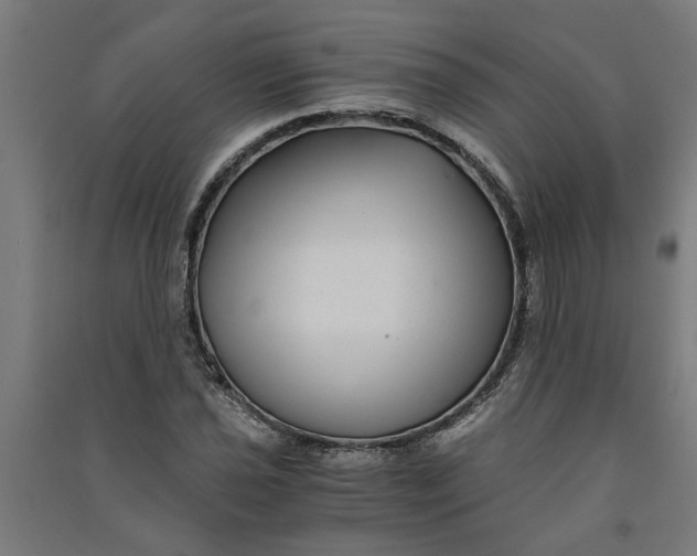 X0000091061021200708201340