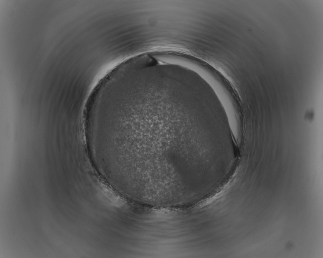 X0000091061022200708201340