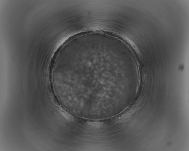 X0000091061023200708201340