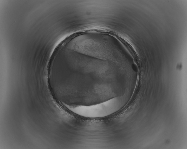 X0000091061024200708201340