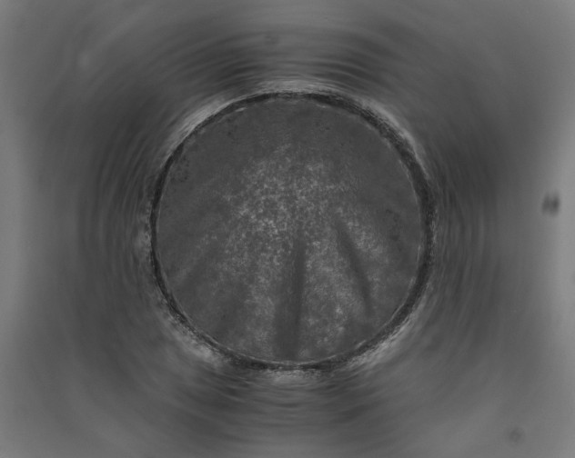X0000091061025200708201340
