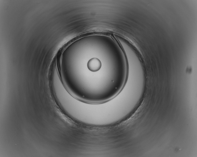 X0000091061026200708201340