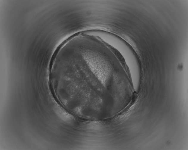 X0000091061028200708201340