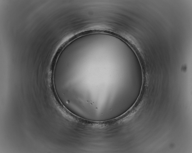 X0000091061029200708201340