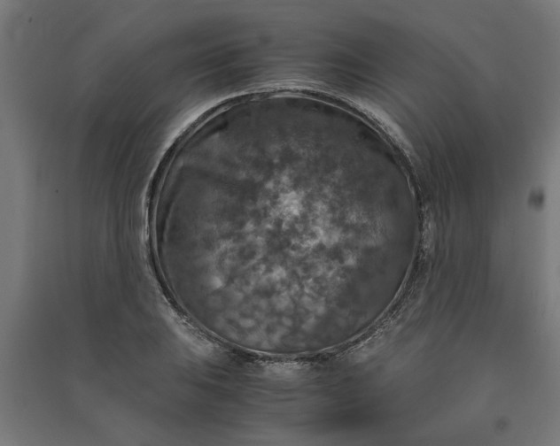 X0000091061031200708201340