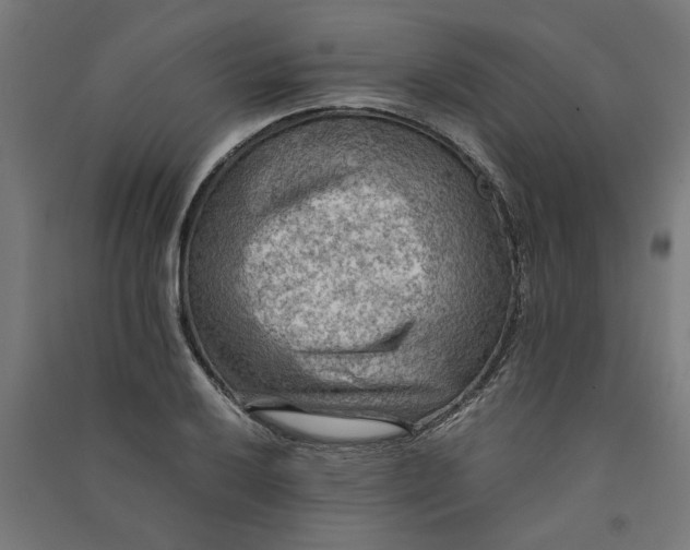 X0000091061032200708201340