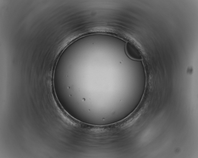 X0000091061033200708201340
