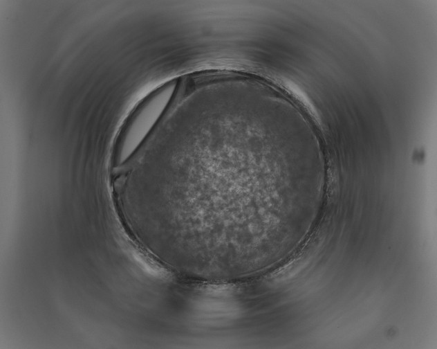 X0000091061035200708201340