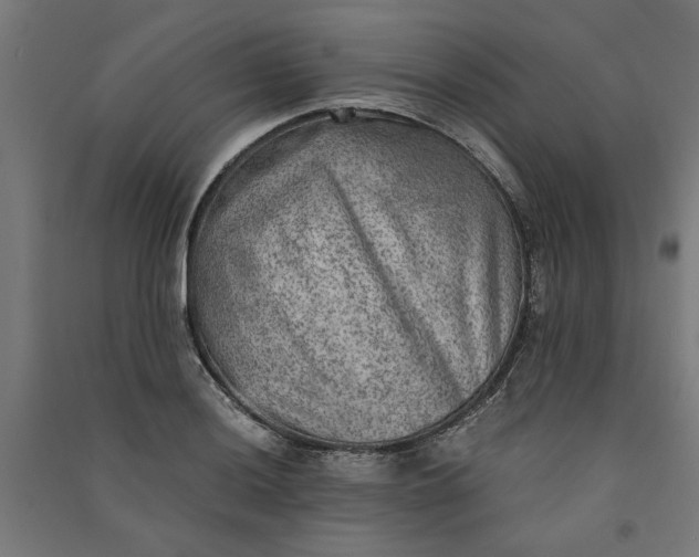 X0000091061036200708201340