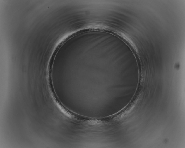 X0000091061037200708201340
