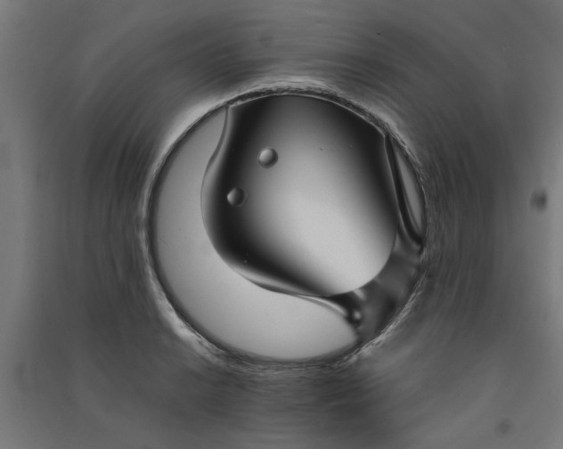 X0000091061038200708201340
