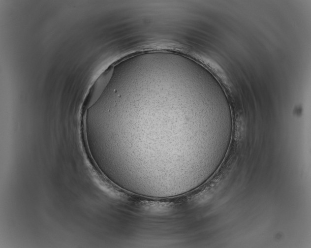 X0000091061039200708201340