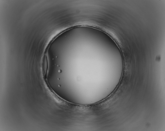 X0000091061040200708201340