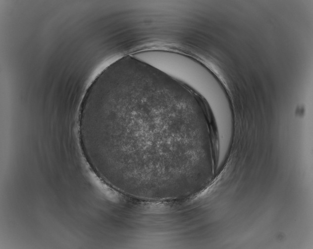 X0000091061042200708201341