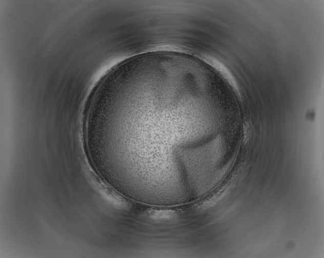 X0000091061043200708201341