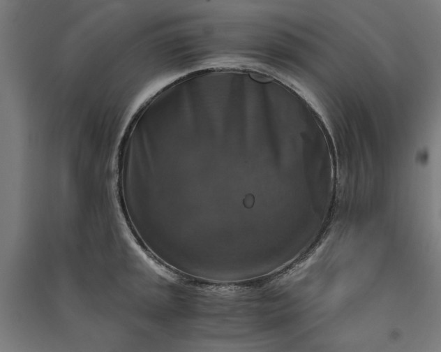 X0000091061045200708201341