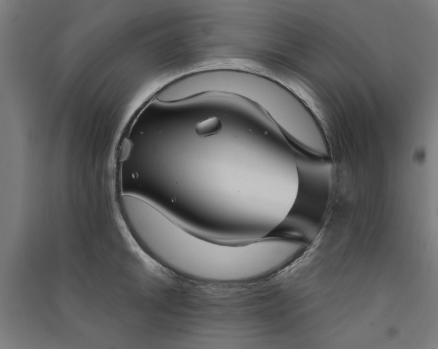 X0000091061046200708201341