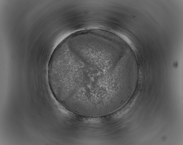 X0000091061047200708201341