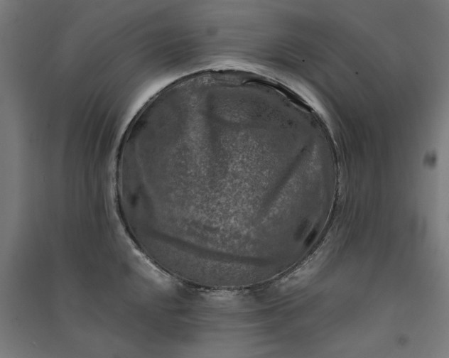 X0000091061048200708201341