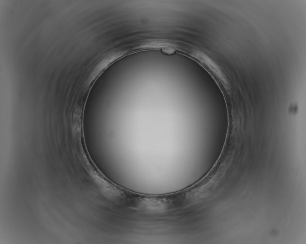 X0000091061049200708201341