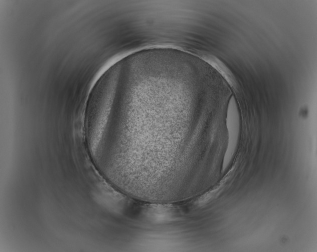X0000091061052200708201341