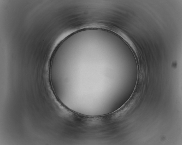 X0000091061053200708201341
