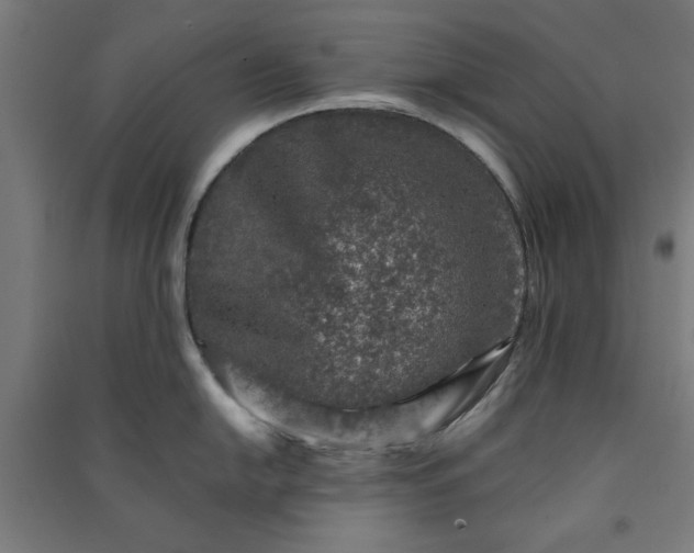 X0000091061054200708201341
