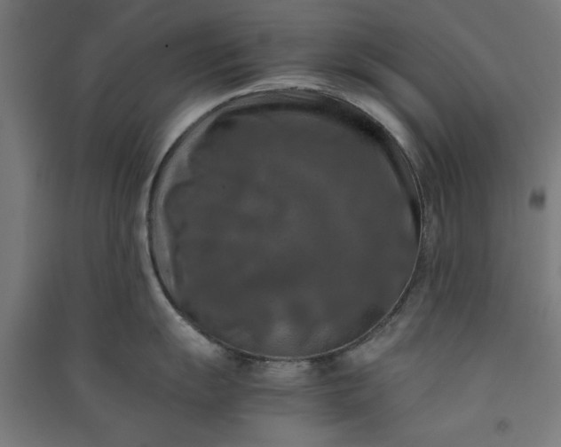 X0000091061055200708201341
