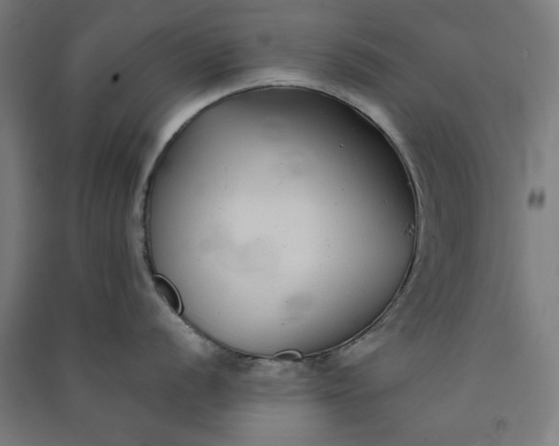 X0000091061056200708201341