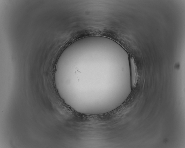 X0000091061057200708201340