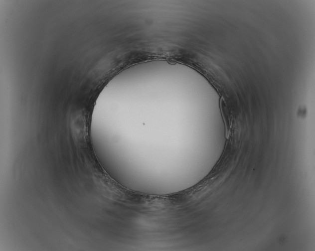X0000091061058200708201340
