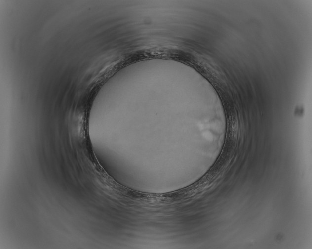 X0000091061060200708201340