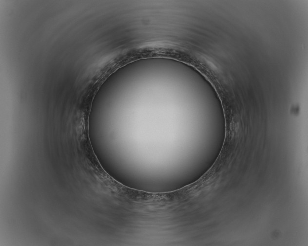 X0000091061062200708201340