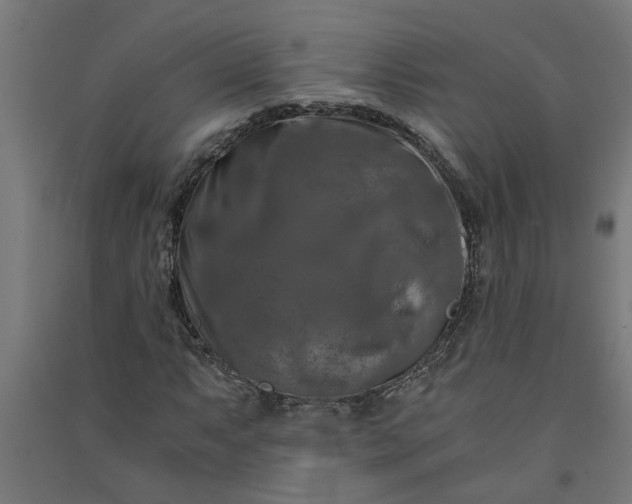 X0000091061063200708201340
