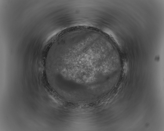 X0000091061064200708201340