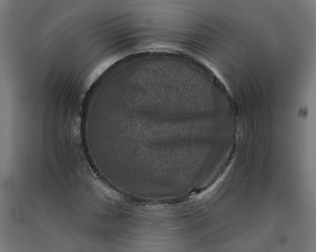 X0000091061066200708201340