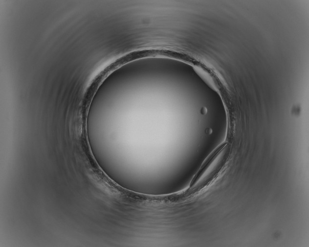 X0000091061069200708201340