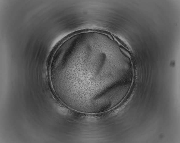 X0000091061070200708201340
