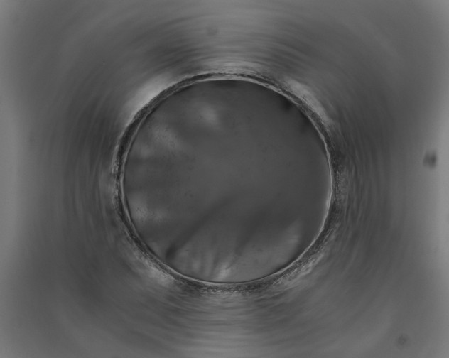 X0000091061071200708201340