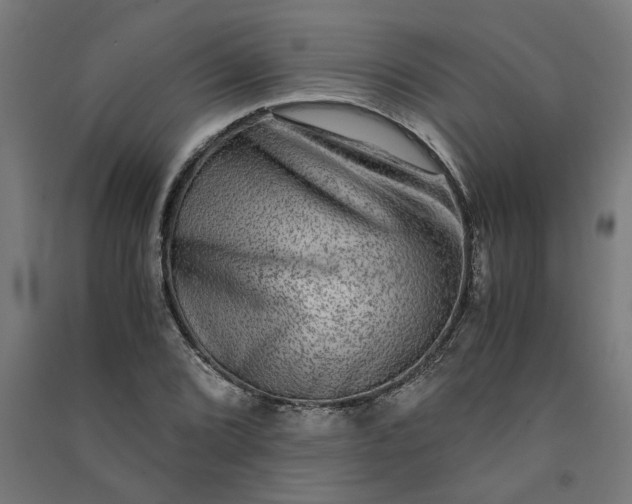 X0000091061072200708201340